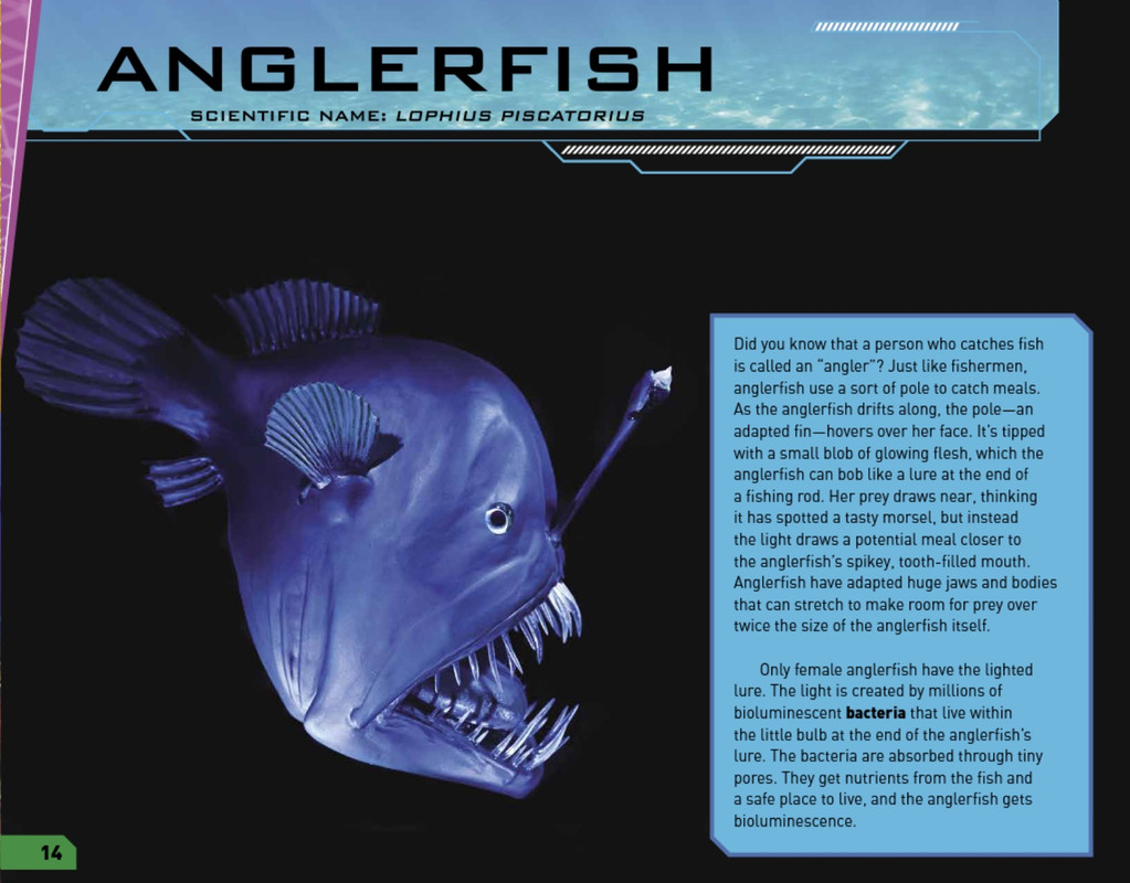 description